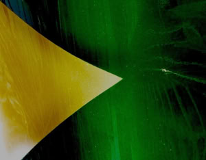 Dom Pedro II. Neg. von Braum. Clément & Cia. Paris. Therese Prinzessin von Bayern. Meine Reise in den brasilianischen Tropen. Berlin 1897